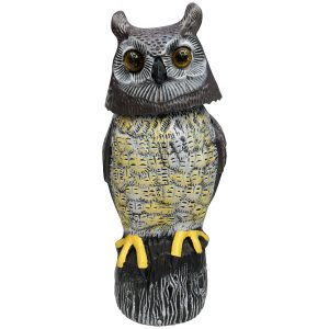 Owl Solar Powered